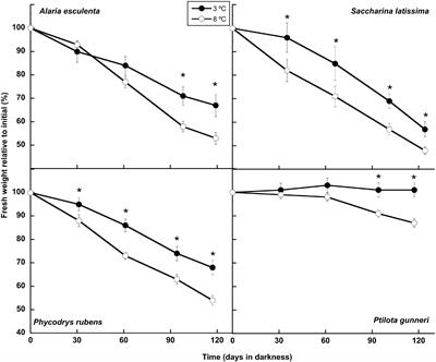 A Warmer Arctic Compromises Winter Survival of Habitat-Forming Seaweeds